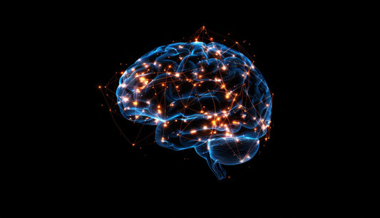 Nootropics and longevity: Can improving cognitive function delay brain aging?