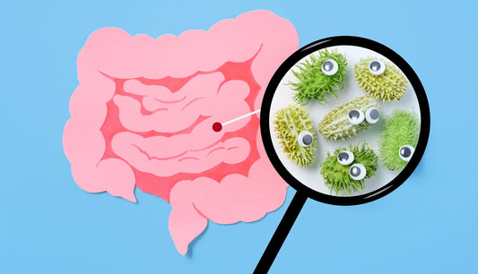 Probiotics and the microbiome: Your guide to friendly bacteria
