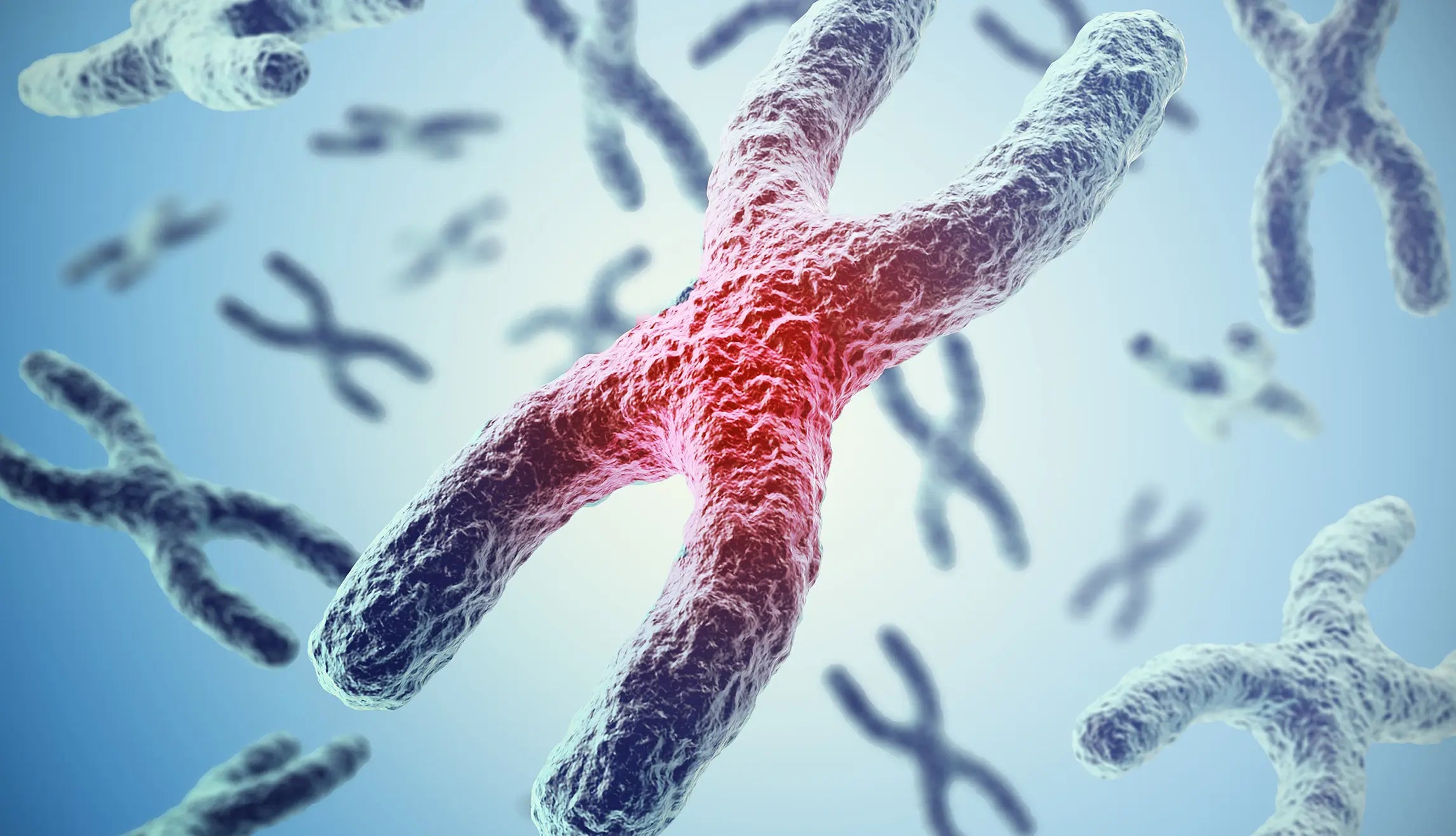 The Vital Role of Telomeres in Health and Longevity