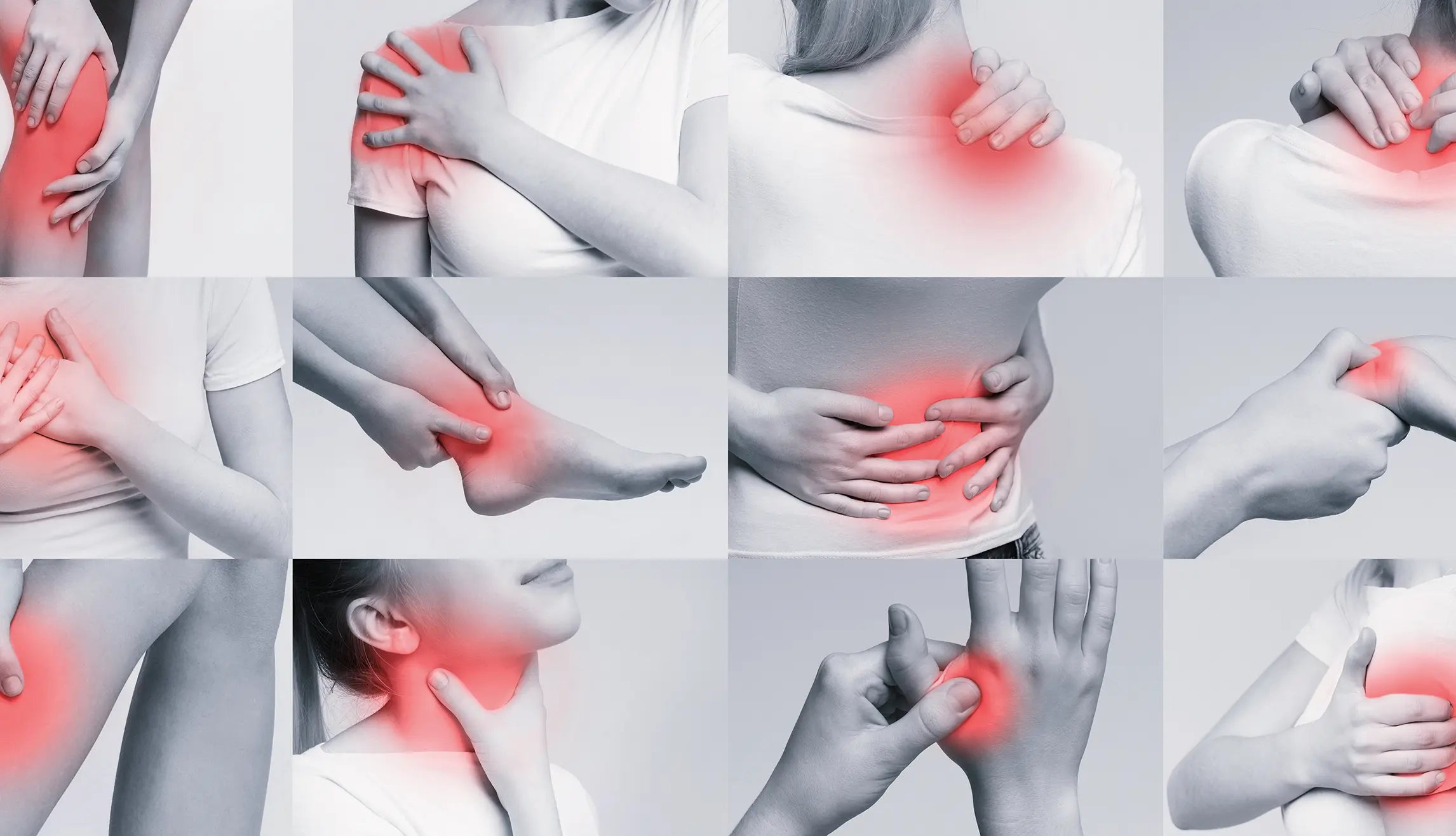 The Ultimate Guide to Understanding and Managing Inflammation.