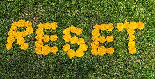 A Spring Body Reset: A 30-Day Strategy for Post-Winter Recovery