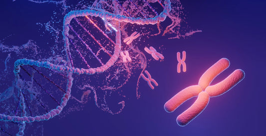 How to protect telomeres from shortening? The role of antioxidants and NAD in DNA protection