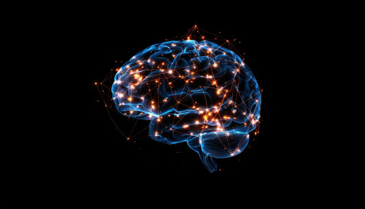 Nootropics and longevity: Can improving cognitive function delay brain aging?