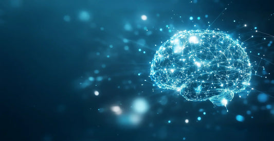 Lion's Mane and neurogenesis – can mushrooms rebuild neural connections?